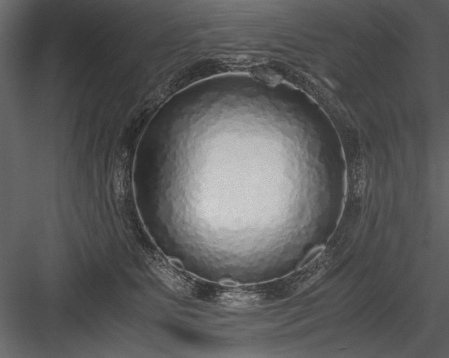 X0000084000515200702232141
