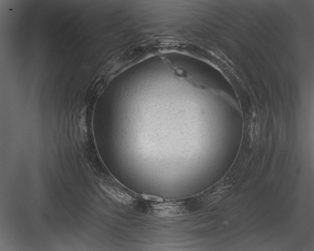 X0000084000516200702232141