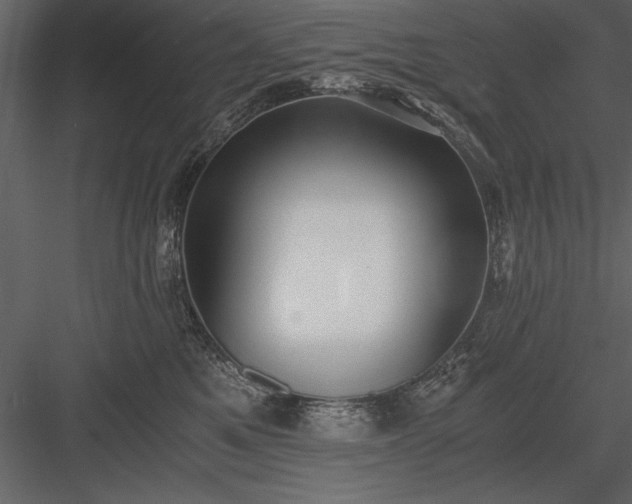 X0000084000521200702232141