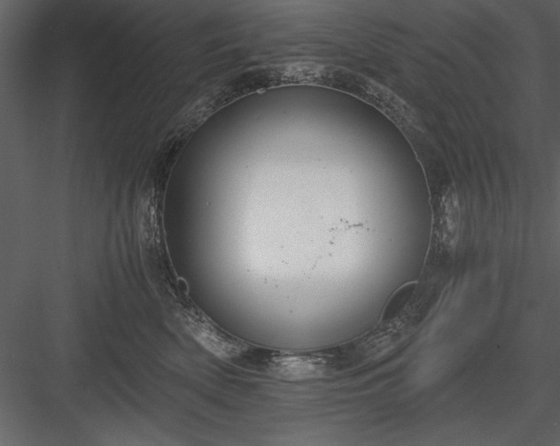 X0000084000522200702232141