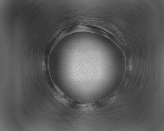 X0000084000524200702232141
