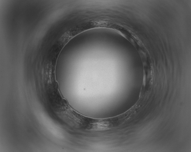 X0000084000525200702232141
