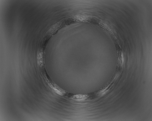 X0000084000526200702232141