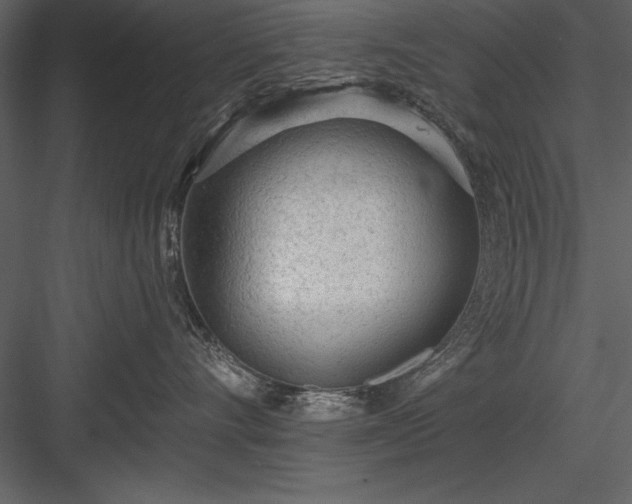 X0000084000528200702232141