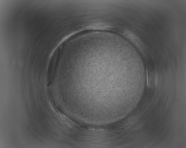 X0000084000531200702232140