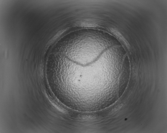 X0000084000533200702232140