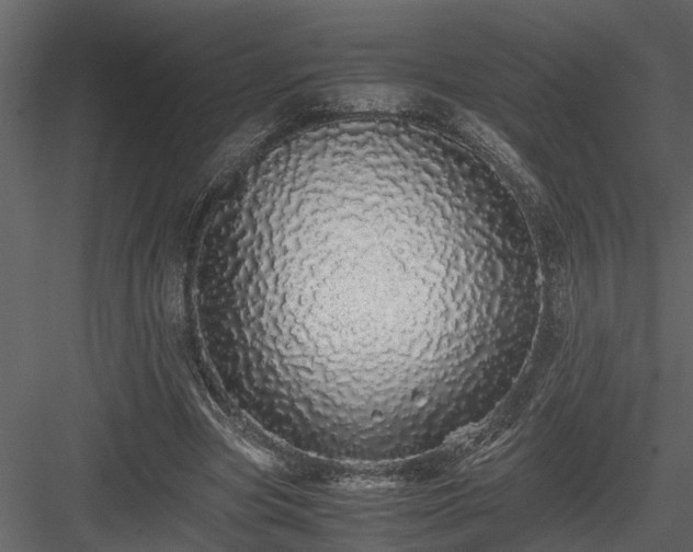 X0000084000537200702232140