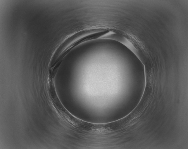 X0000084000540200702232140