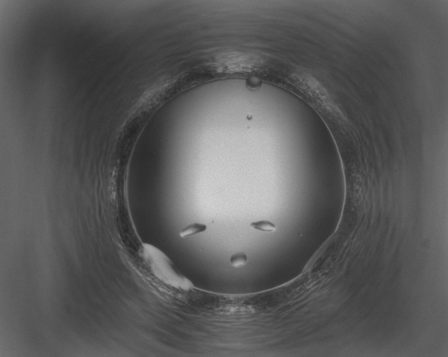 X0000084000543200702232140