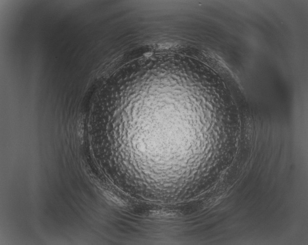 X0000084000545200702232140