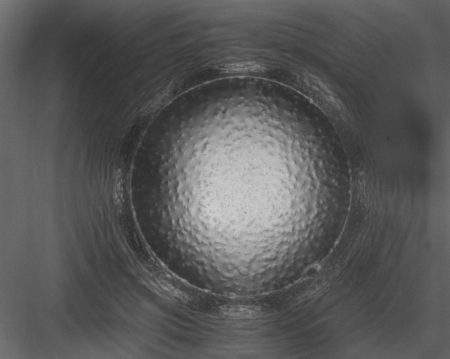 X0000084000549200702232140