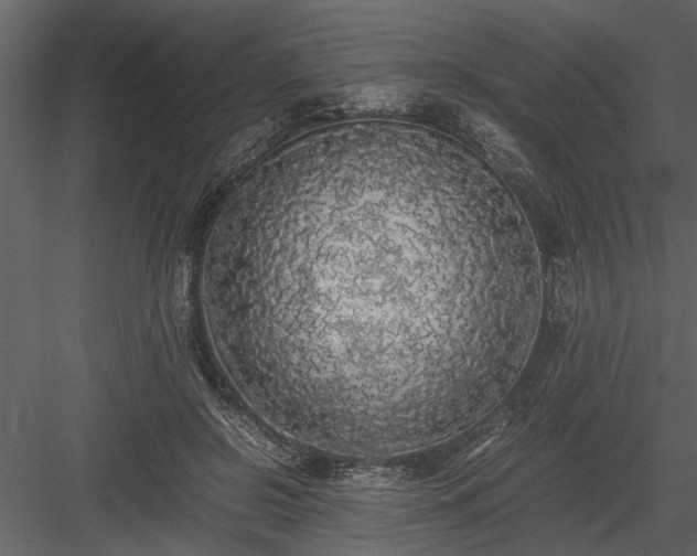 X0000084000550200702232140