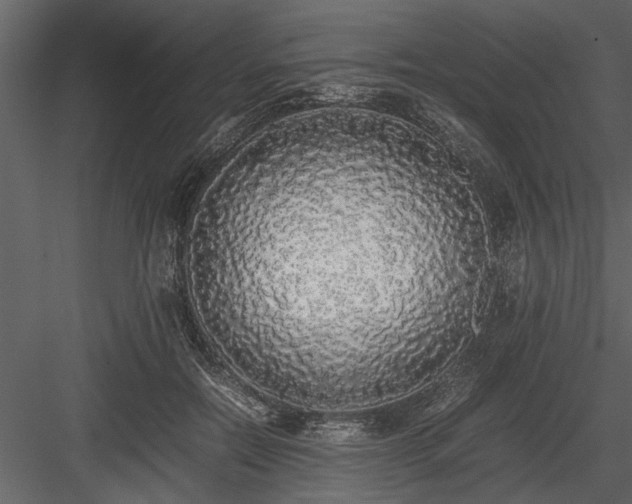 X0000084000554200702232140