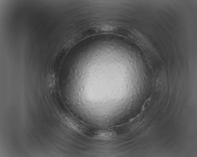 X0000084000555200702232140