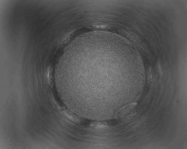 X0000084000559200702232140