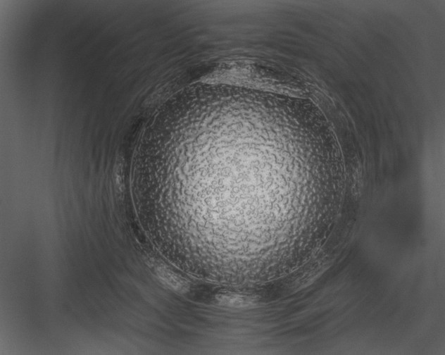 X0000084000561200702232141