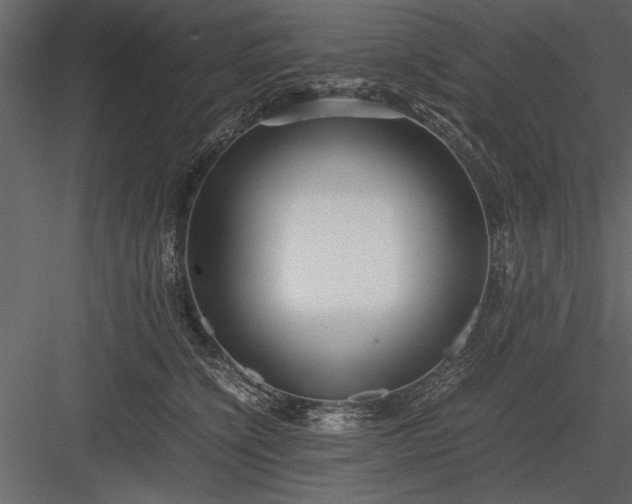 X0000084000564200702232141