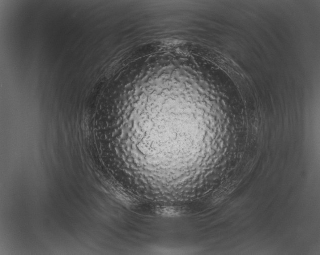 X0000084000565200702232141