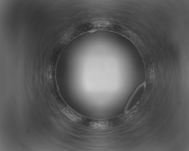 X0000084000567200702232141