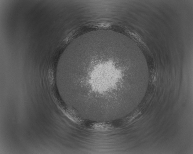 X0000084000568200702232141