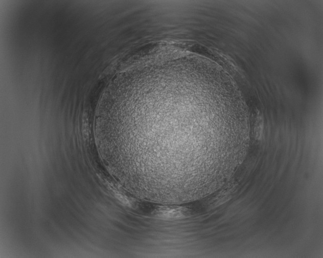X0000084000569200702232141