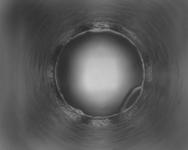 X0000084000571200702232141