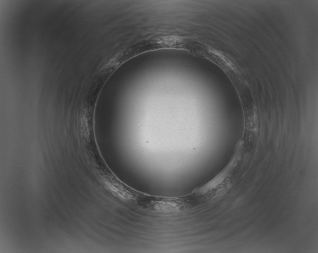 X0000084000572200702232141
