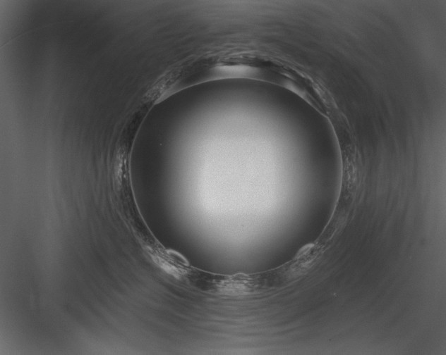 X0000084000574200702232141