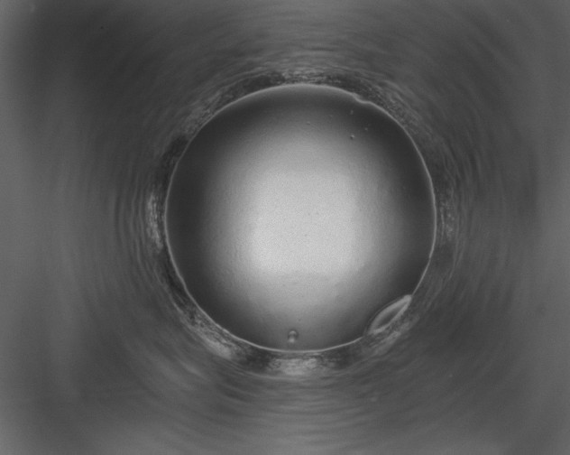 X0000084000575200702232141