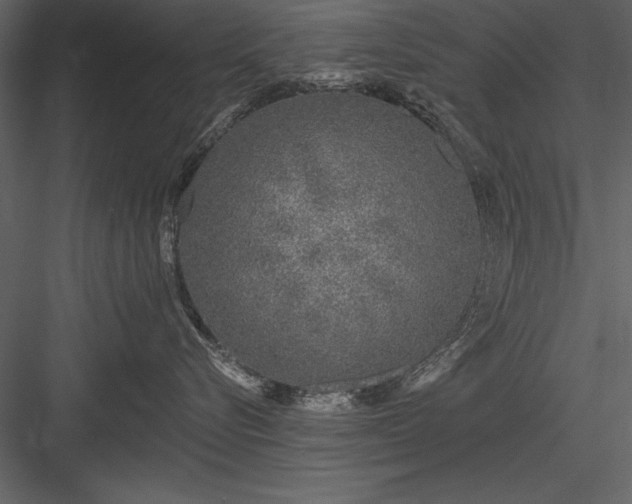 X0000084000576200702232141