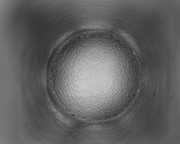 X0000084000578200702232140