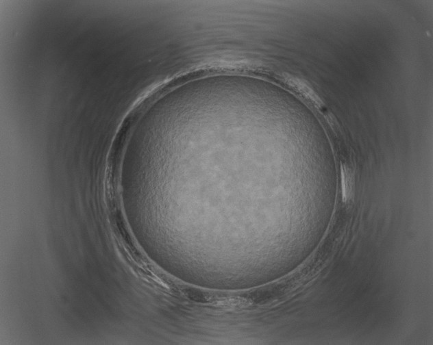 X0000084000579200702232140