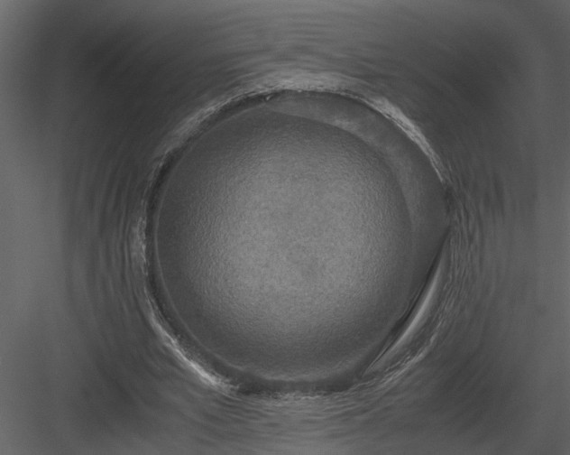 X0000084000581200702232140