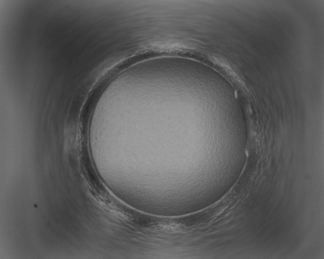 X0000084000583200702232140