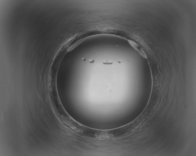 X0000084000587200702232140