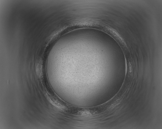 X0000084000588200702232140