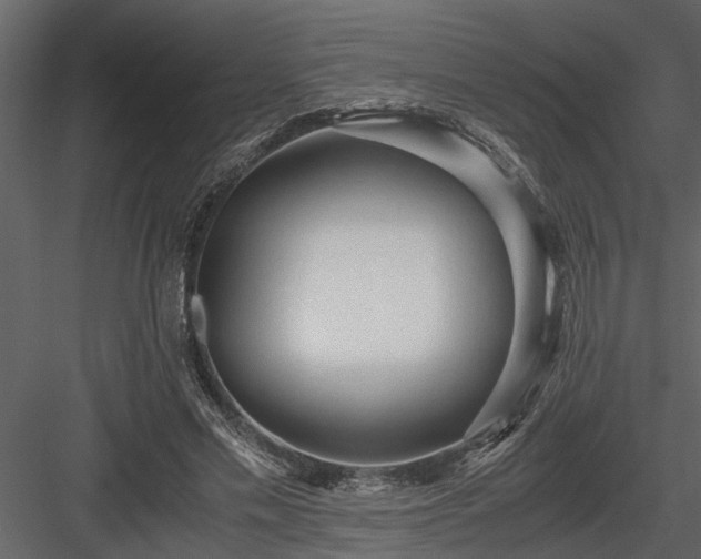 X0000084000589200702232140