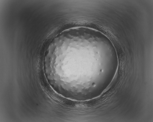 X0000084000591200702232140