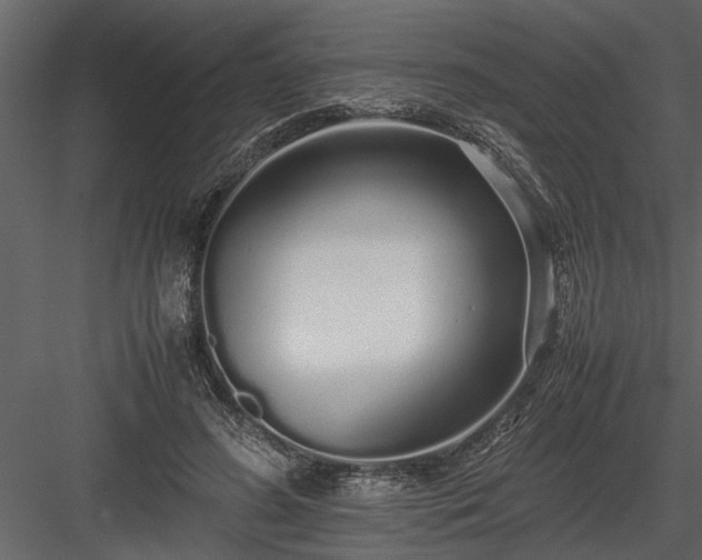 X0000084000596200702232140