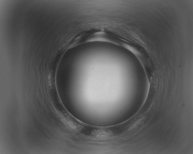 X0000084000597200702232140