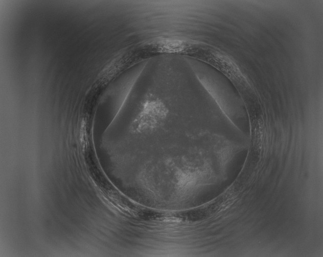 X0000084000598200702232140