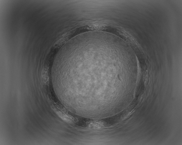 X0000084000599200702232140