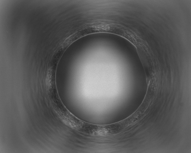 X0000084000600200702232140