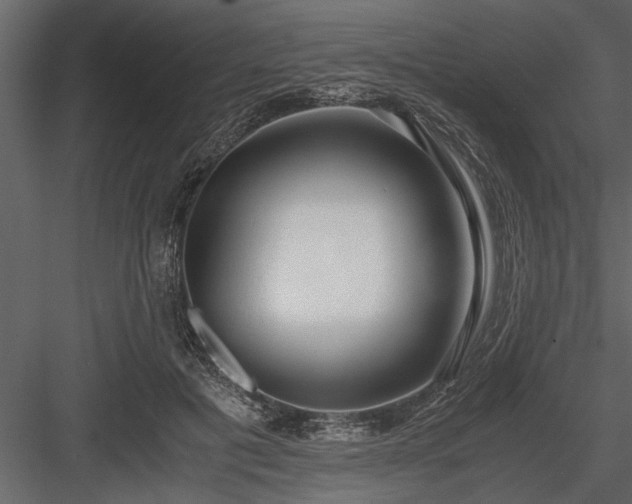 X0000084000601200702232139