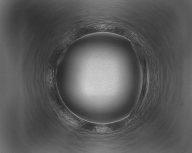 X0000084000605200702232139