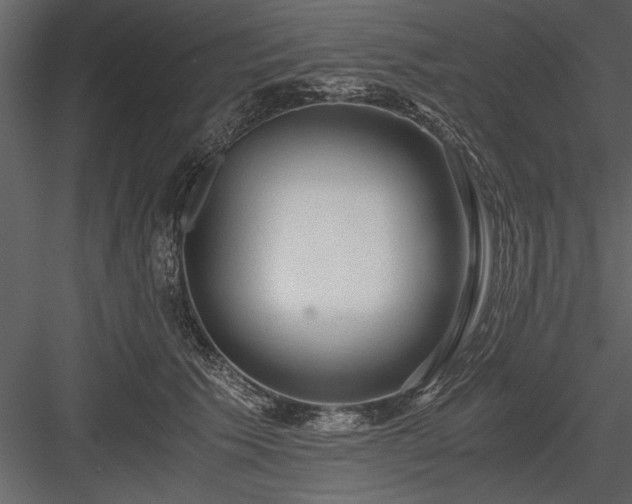 X0000084000609200702232139