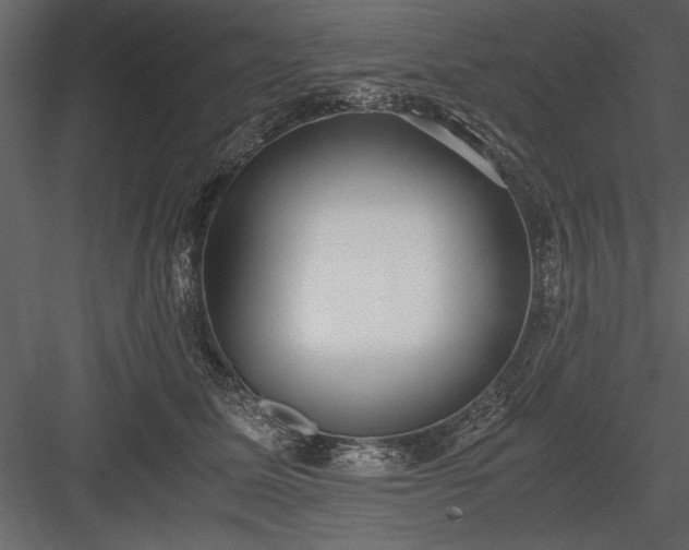 X0000084000611200702232139
