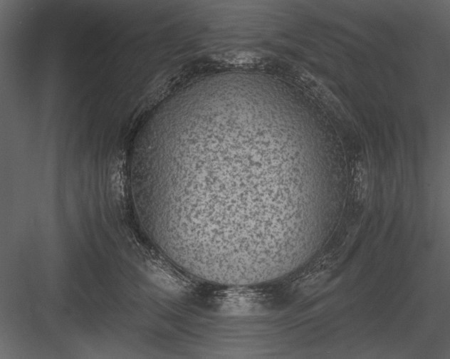 X0000084000612200702232139