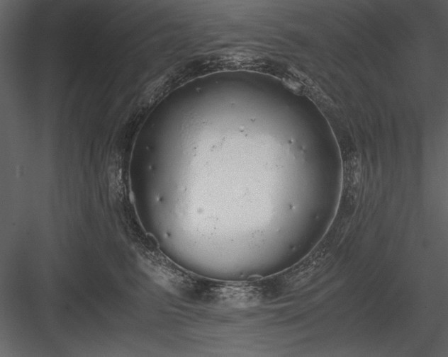 X0000084000615200702232139