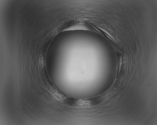 X0000084000617200702232139
